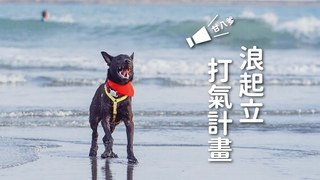 浪浪別哭-浪起立一日約會打氣計劃！｜等一個家