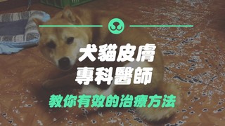 PetTalk－毛孩吃的驅蟲藥成分「弗雷拉納」大解密