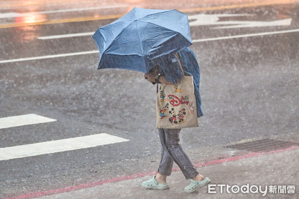 ▲▼天氣,行人路權,路人,雷雨,斑馬線,過馬路,大雨,大雷雨,下雨,雨天,豪大雨,午後雷陣雨,梅雨,降雨,氣象,豪雨,颱風外圍環流,西南氣流,滯留鋒面,撐傘,雨傘,陰雨綿綿,潮濕,濕度,熱對流,天氣配圖。（圖／記者李毓康攝）