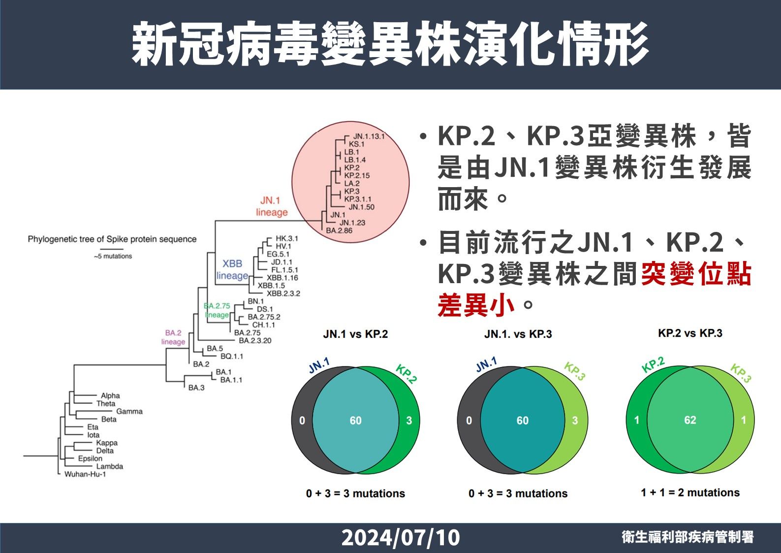 ▲▼新冠病毒變異株演變情形。（圖／疾管署提供）