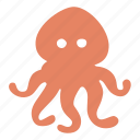 octopus, squid