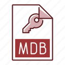 extension, file, format, mdb