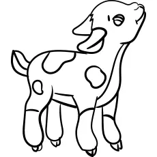 Cute little goat preschool coloring page_image