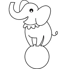 Circus elephant on ball coloring page for preschool_image