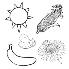 Preschool color recognition coloring page_image