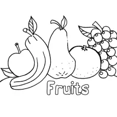 Fruits pictures for preschool coloring page_image