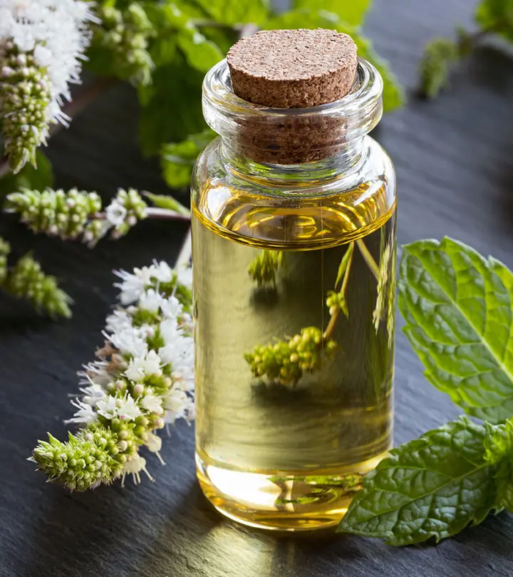 Benefits Of Peppermint Oil For Skin, Hair, Health & How To Use