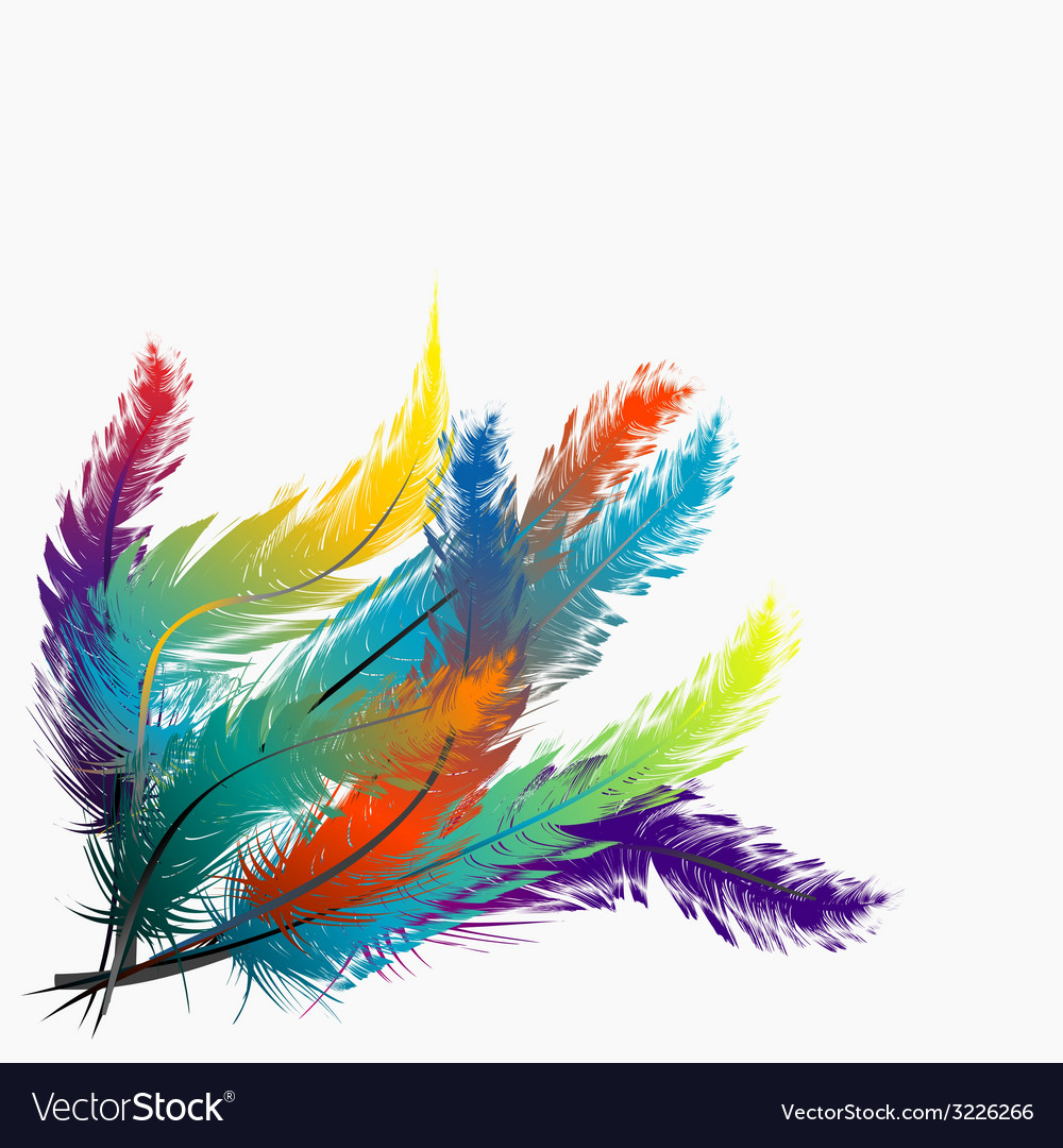 Colorful Feathers