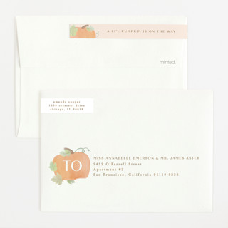 Blush color: envelope-skinnywrap-and-address-label