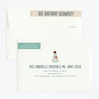 Birch color: envelope-skinnywrap-and-address-label