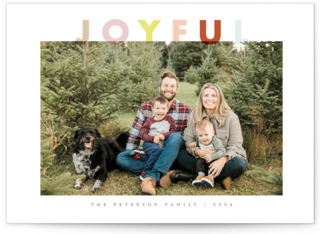 Quiet Color Holiday Photo Cards