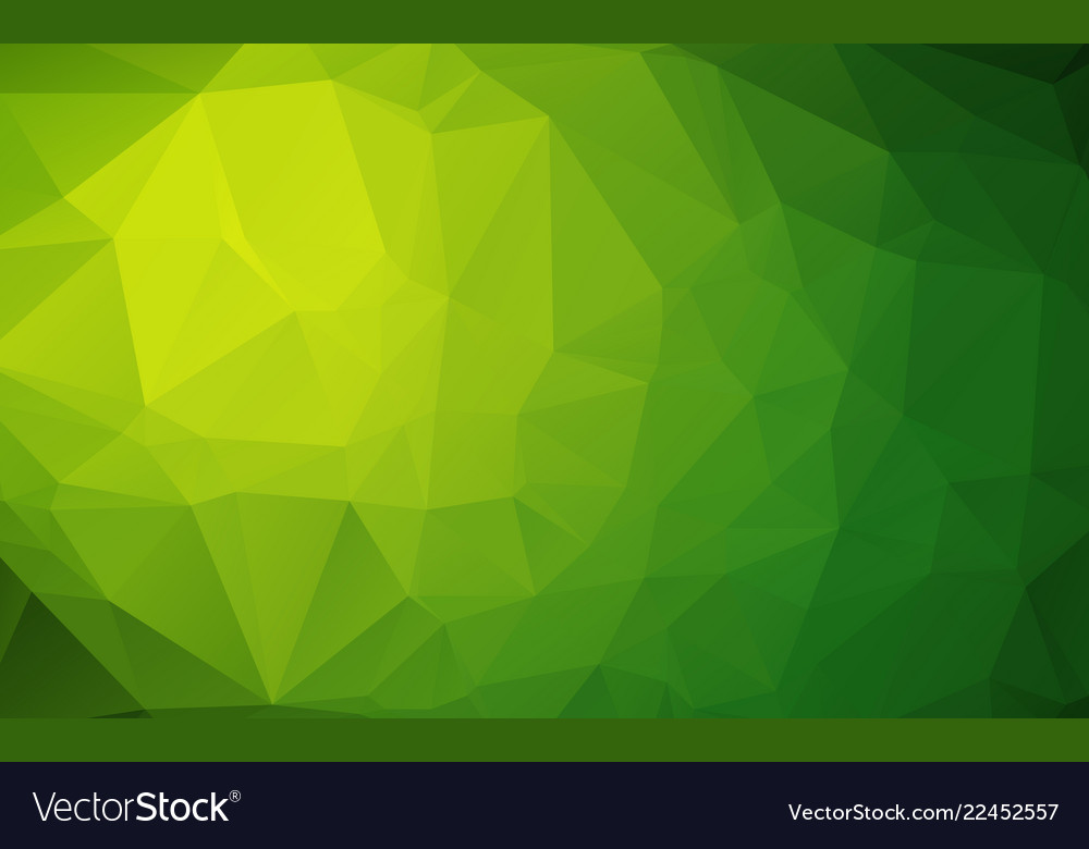 Light green low poly crystal background polygon Vector Image