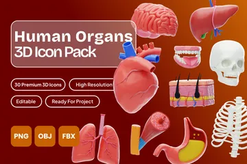 Human Organs 3D Icon Pack