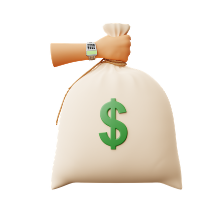 Free Money Sack  3D Illustration