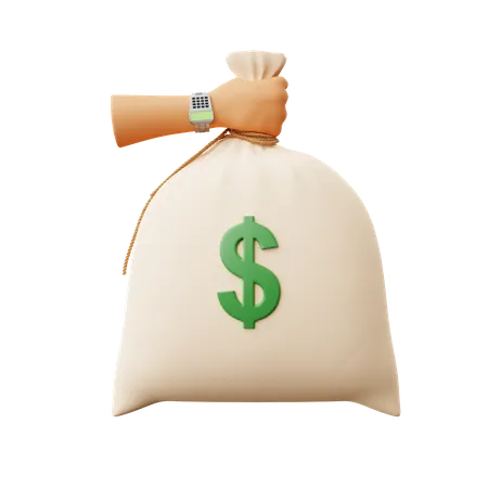 Free Money Sack  3D Illustration