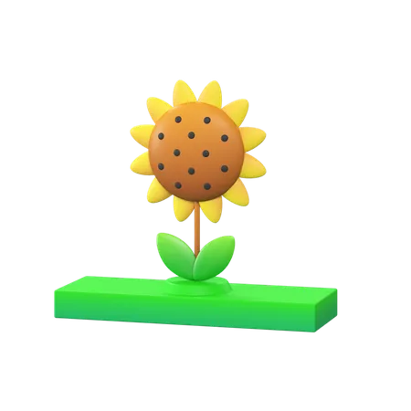 Free Sonnenblume  3D Icon