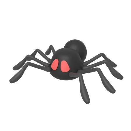 Free Spider  3D Illustration