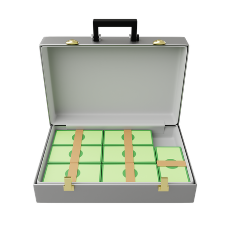 Free Suitcase With Cash  3D Illustration