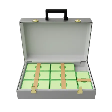 Free Suitcase With Cash  3D Illustration