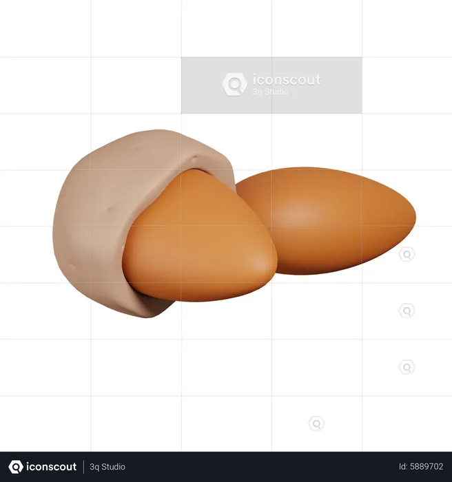 Almonds  3D Icon