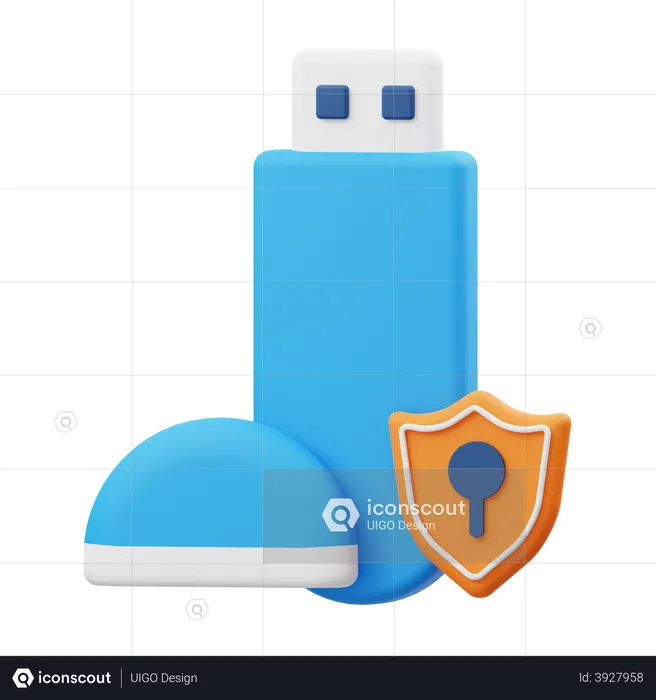 Flashdisk-Schutz  3D Illustration