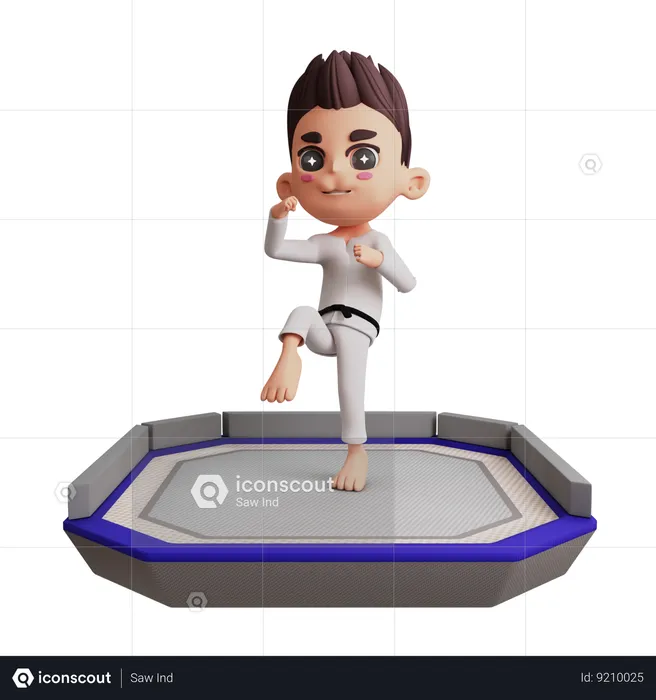 Man Doing Martial Art  3D Illustration