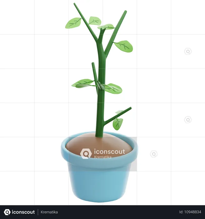 Potted plants  3D Icon