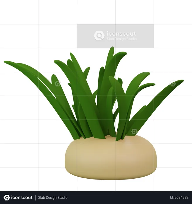 Sea Plants  3D Icon