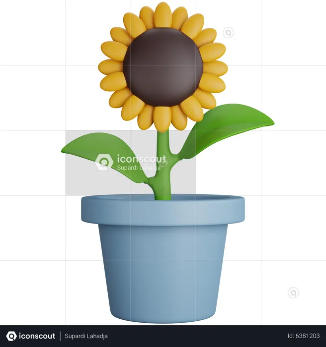 Sunflower Plant  3D Icon