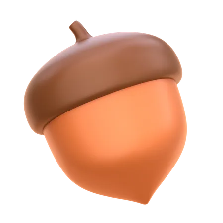 Acorn  3D Icon