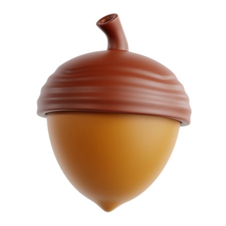 Acorn  3D Icon