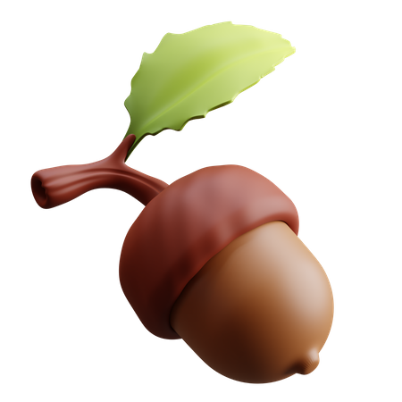 Acorn Nut  3D Illustration