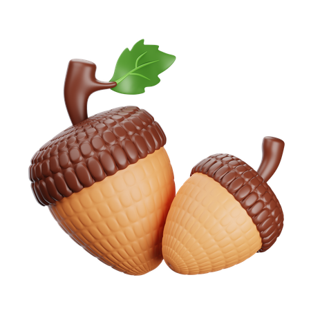 Acorns  3D Icon