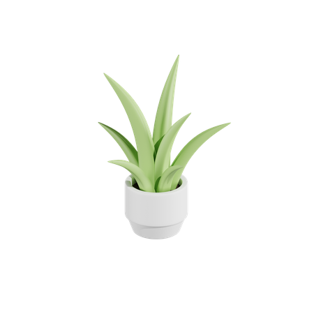 Plante d'aloès  3D Icon