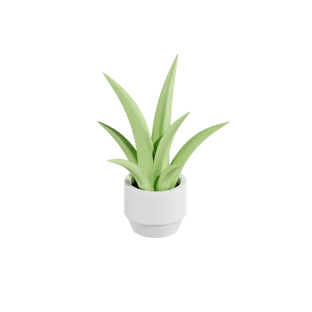 Plante d'aloès  3D Icon