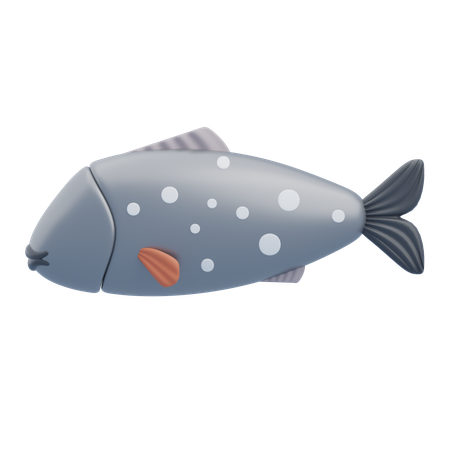 Arctic Char  3D Icon