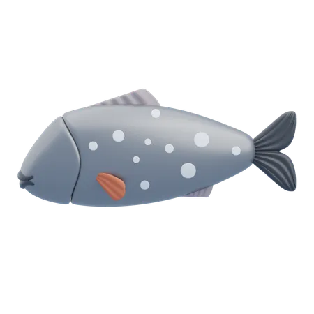 Arctic Char  3D Icon