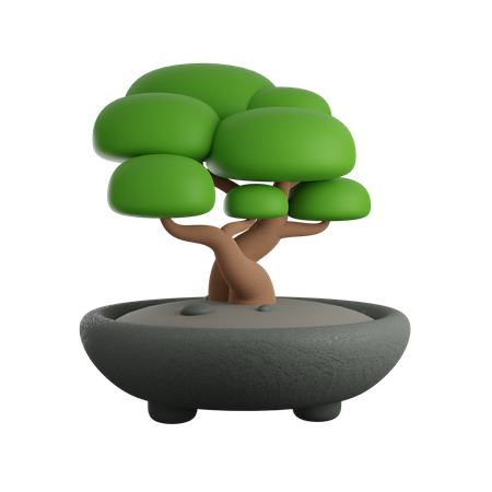 Árvore bonsai  3D Icon