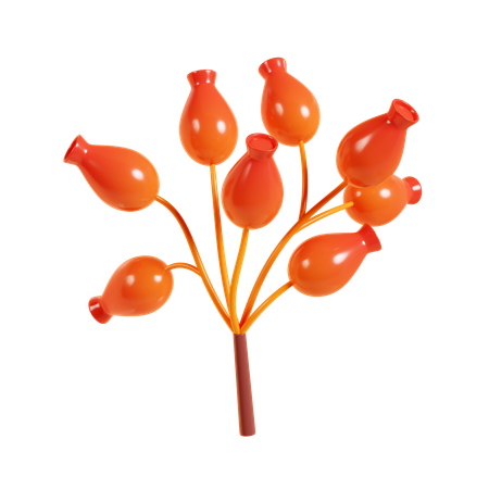 Autumn Berry  3D Icon