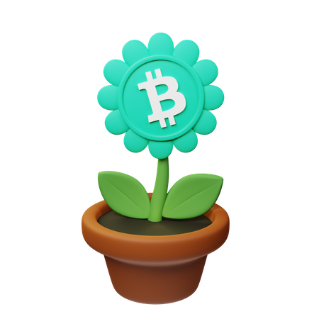 Vaso criptográfico bch  3D Icon