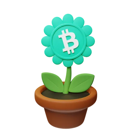 Vaso criptográfico bch  3D Icon