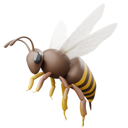 Bee  3D Icon