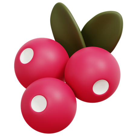 Beeren  3D Icon