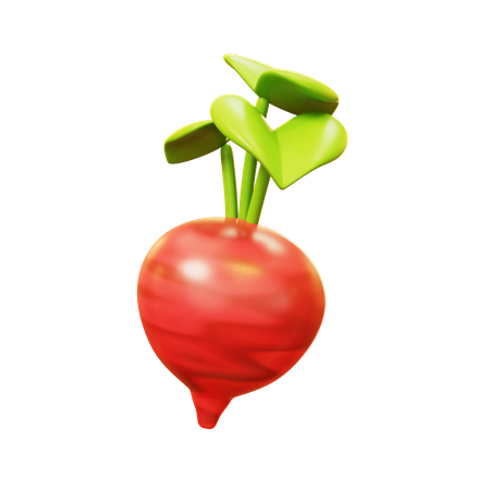 Beetroot  3D Icon