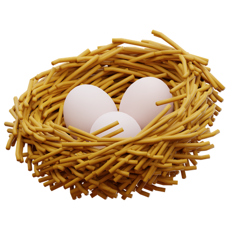 Bird Nest Eggs  3D Illustration