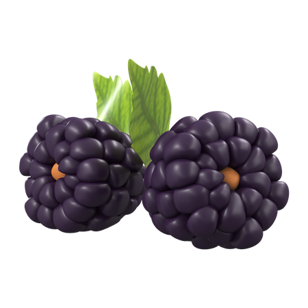 Blackberry  3D Icon