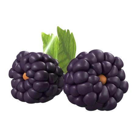 Blackberry  3D Icon