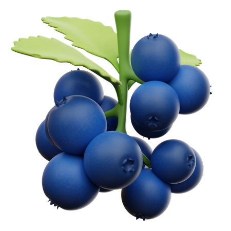 Blaubeere  3D Icon