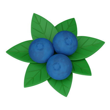 Blaubeere  3D Icon