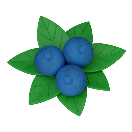 Blaubeere  3D Icon